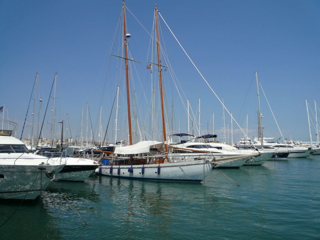 Bodenseeschifferpatent Praxis - Motorboot und Segelboot